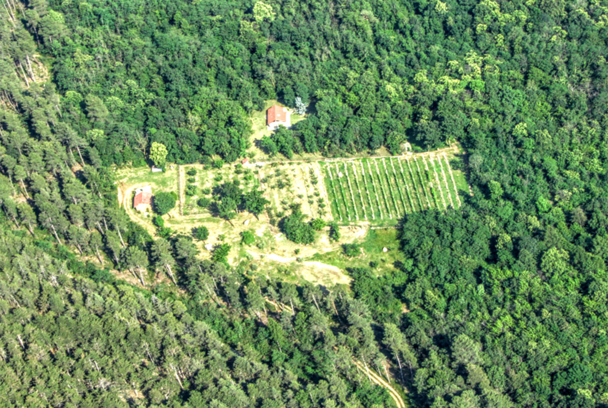 Giuliano Bosio, Vino e Olio in Valsusa